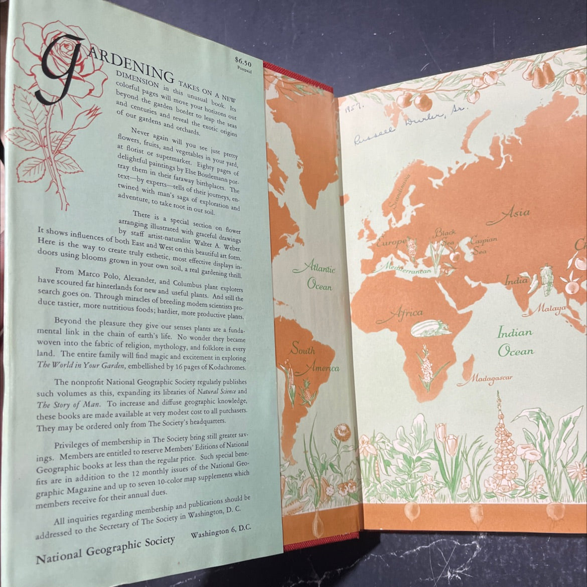 the world in your garden book, by Wendell H. Camp, Victor R. Boswell, John R. Magness, 1957 Hardcover image 4