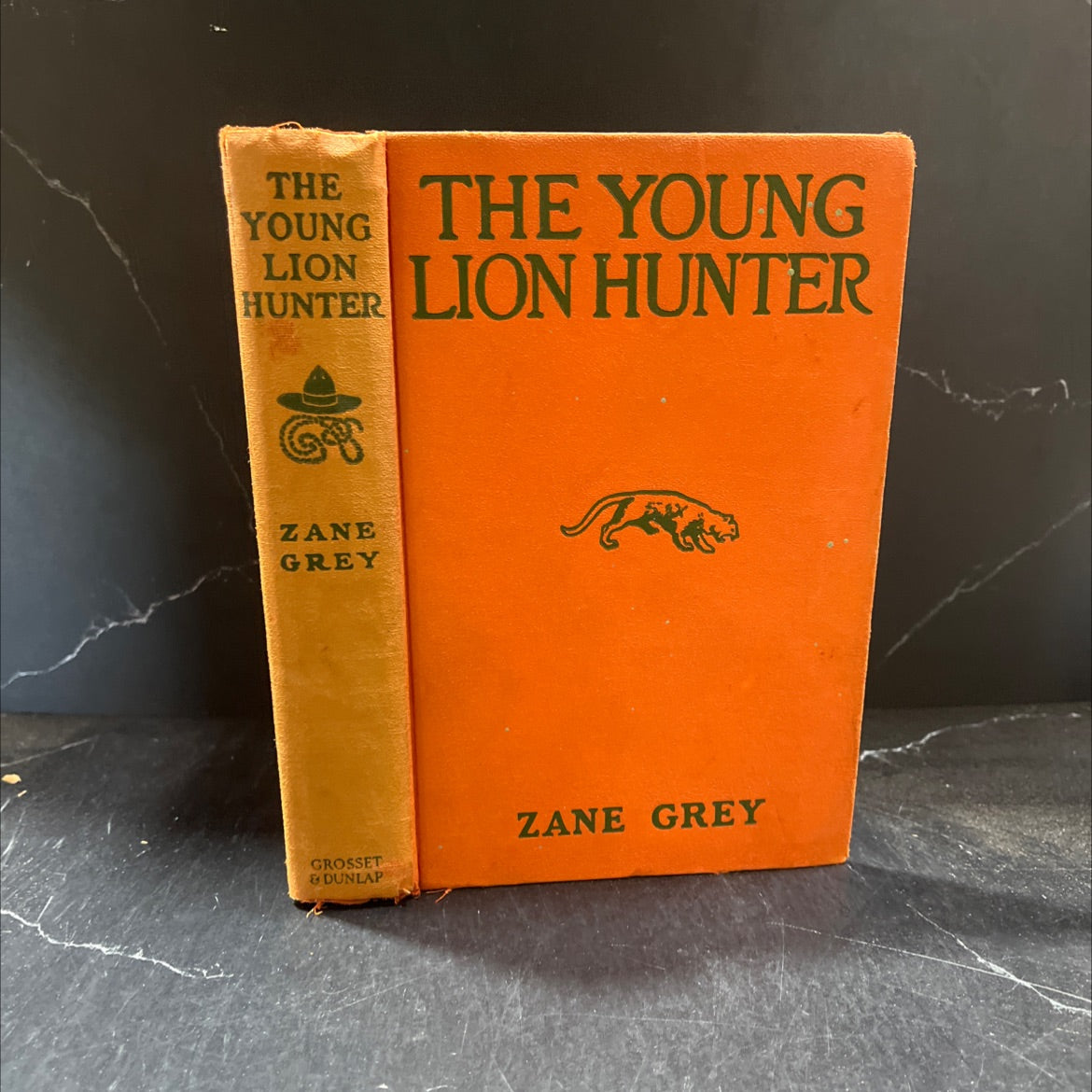 the young lion hunter book, by zane grey, 1939 Hardcover image 1