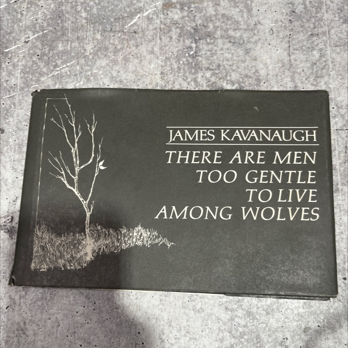 there are men too gentle to live among wolves book, by James Kavanaugh, 1970 Hardcover image 1