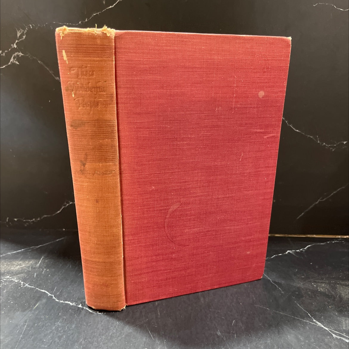 these wonderful people intimate moments in their lives book, by noel ames, 1947 Hardcover image 1