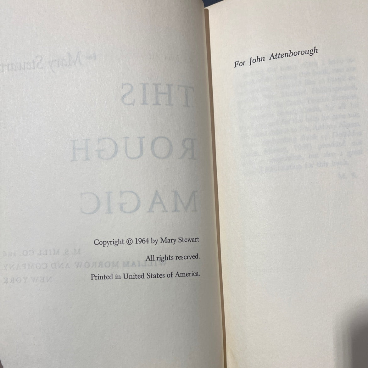 this rough magic book, by Mary Stewart, 1964 Hardcover image 3