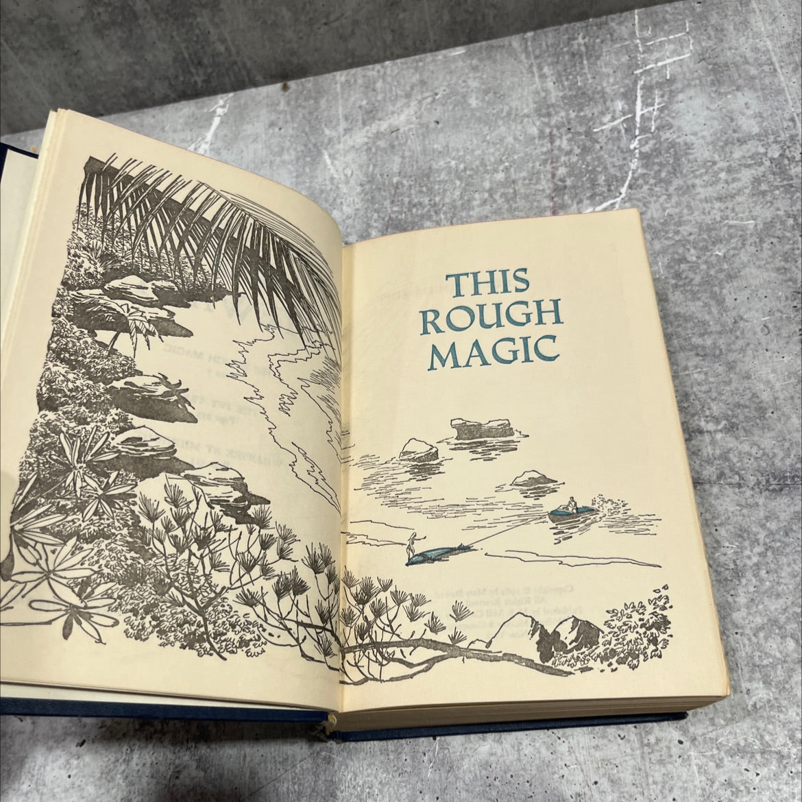 this rough magic book, by mary stewart, 1968 Hardcover image 4
