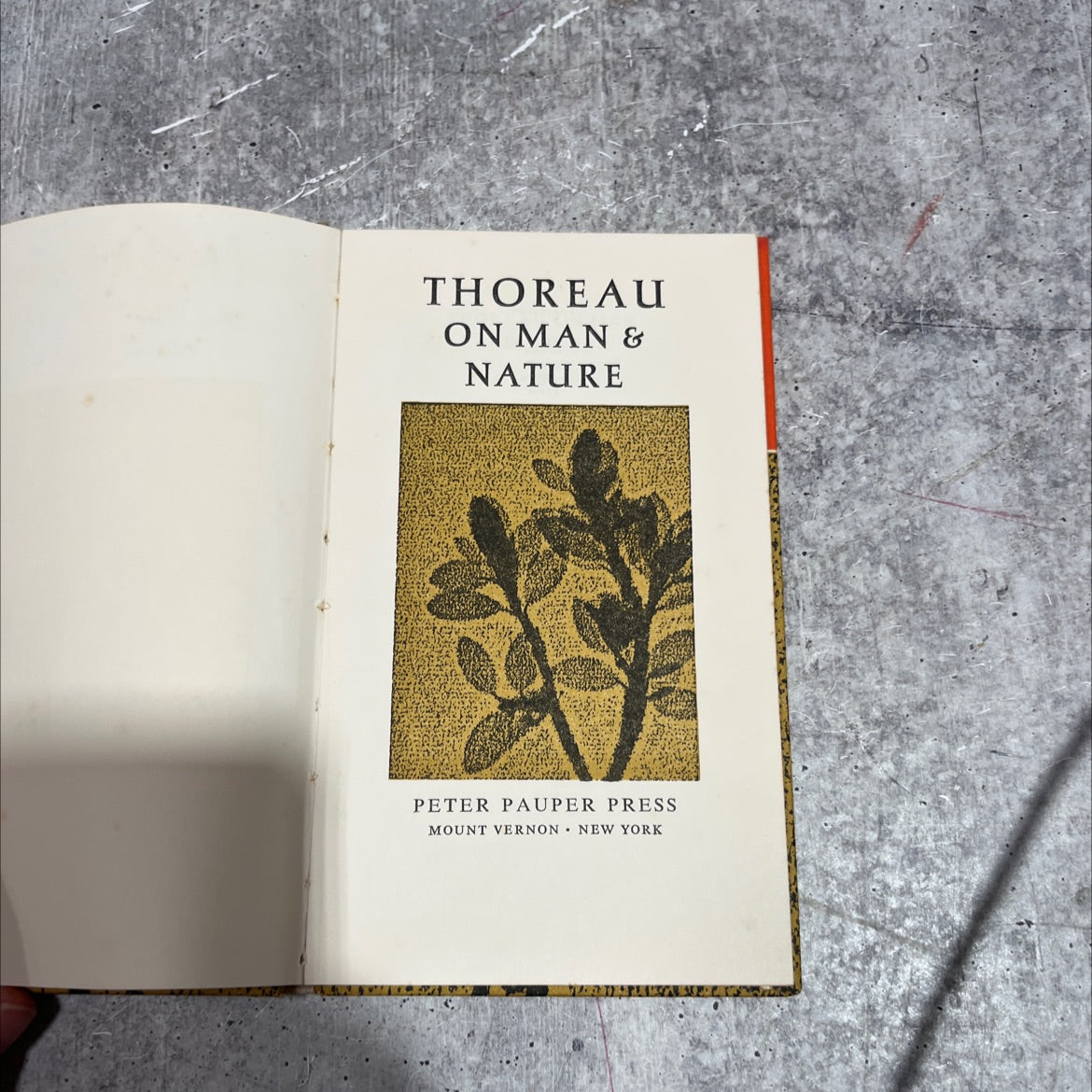 thoreau on man & nature book, by henry d. thoreau, 1970 Hardcover image 2