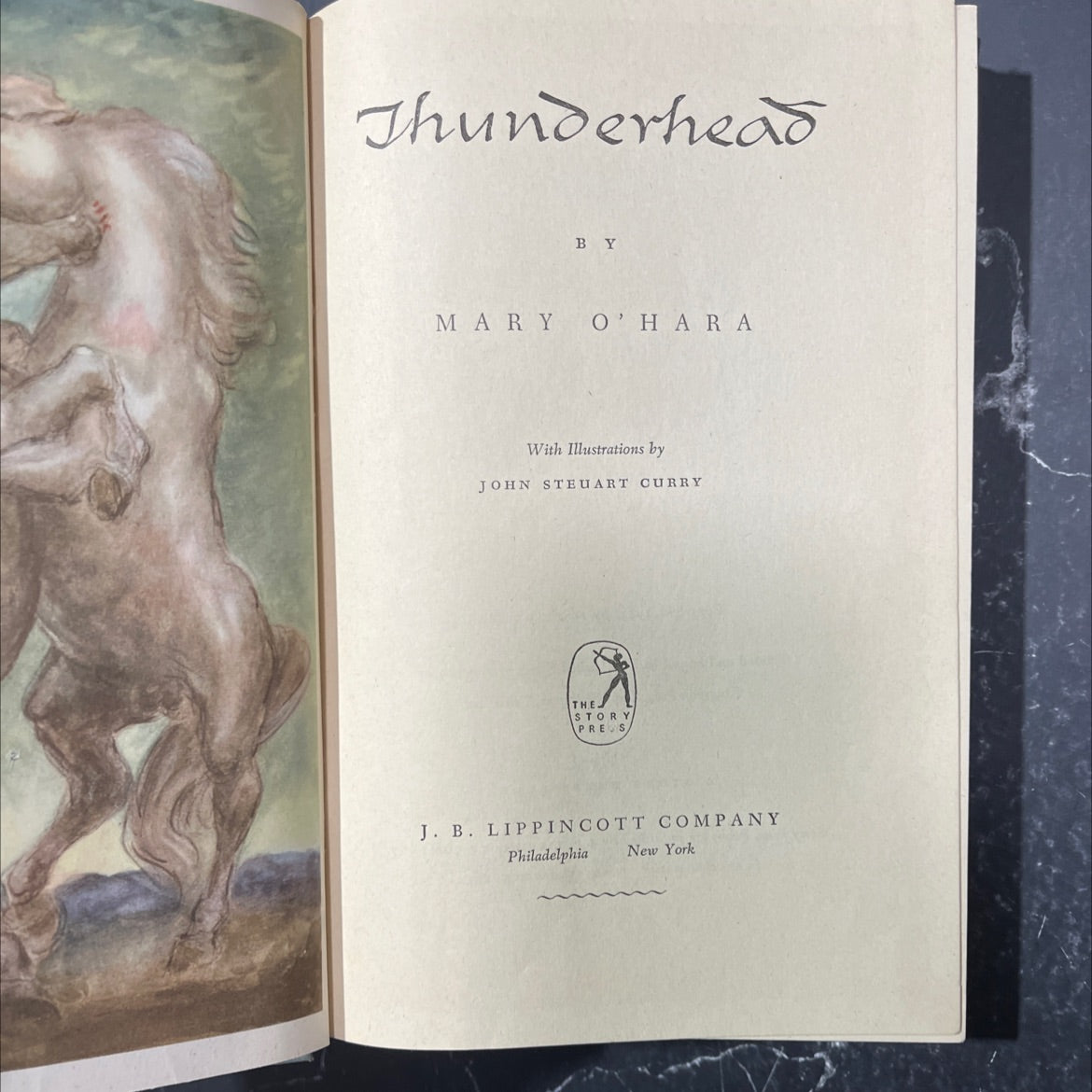 thunderhead book, by mary o'hara, 1943 Hardcover image 2