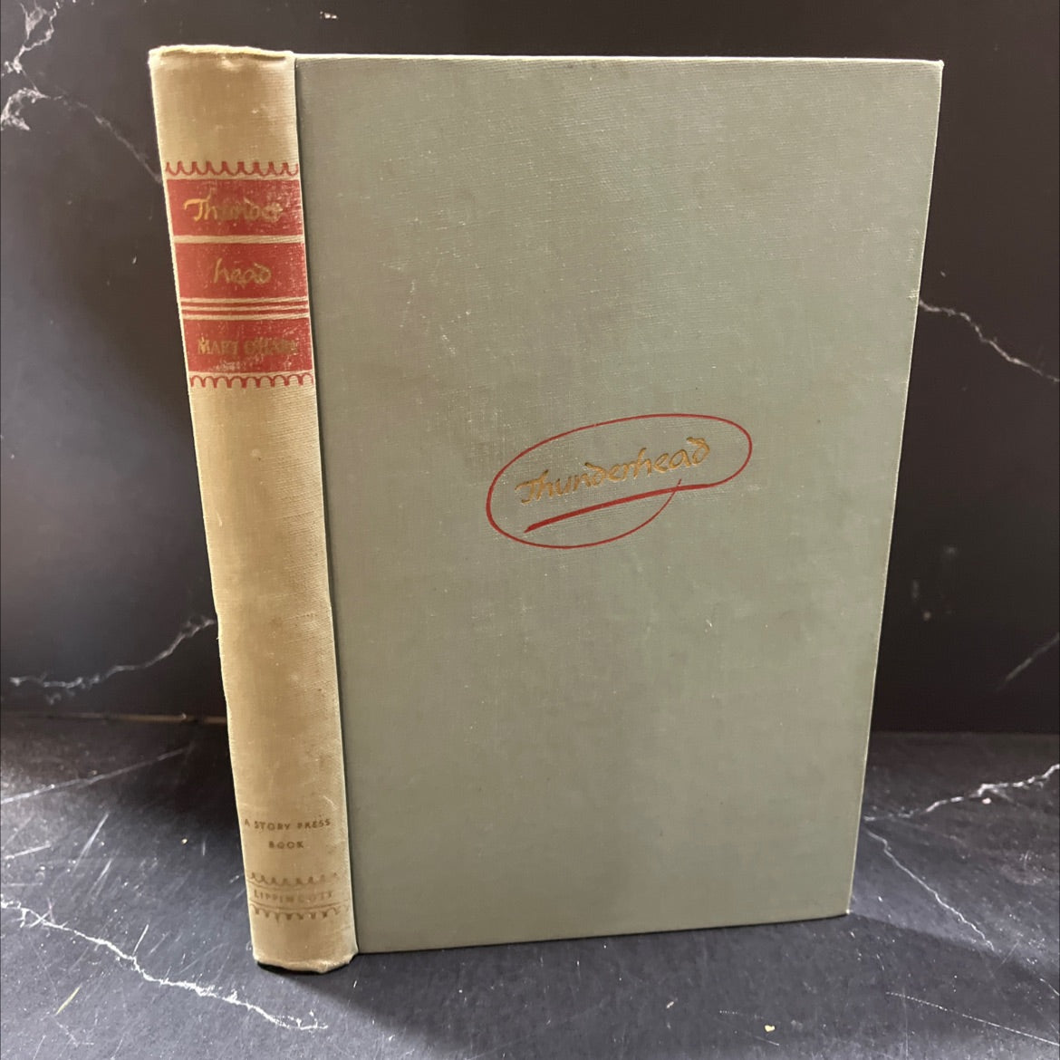 thunderhead book, by mary o'hara, 1943 Hardcover image 1