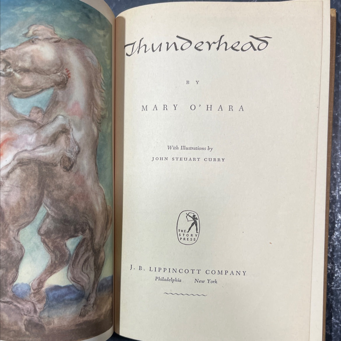 thunderhead book, by mary o'hara, 1943 Hardcover image 2
