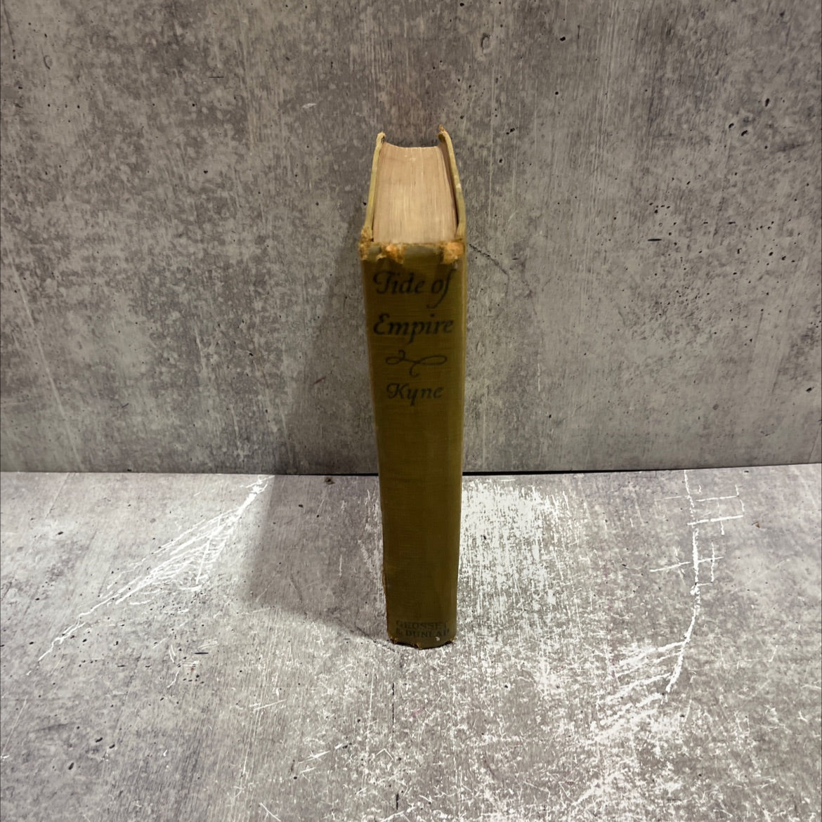 tide of empire book, by peter b. kyne, 1928 Hardcover image 4