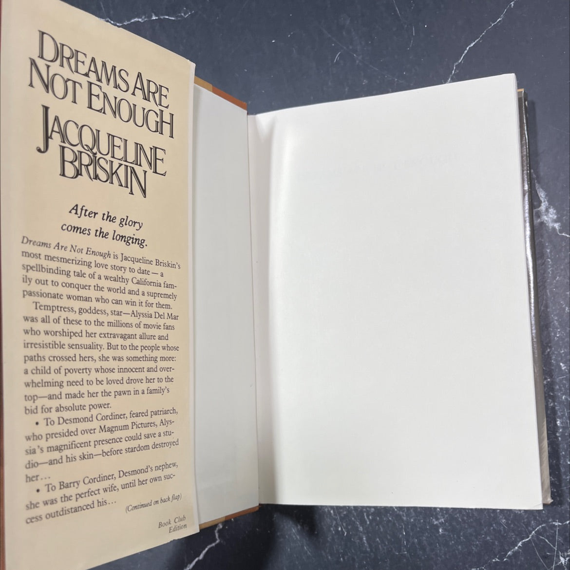 to a mag dreams are not enough book, by jacqueline briskin, 1987 Hardcover image 4