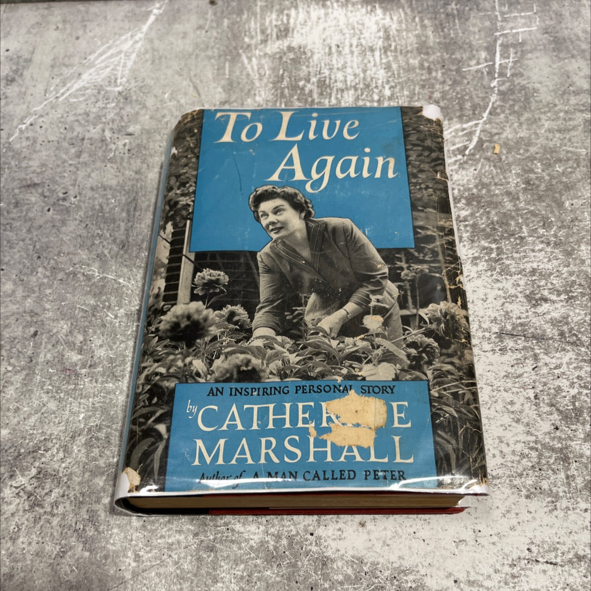 to live again book, by catherine marshall, 1957 Hardcover image 1