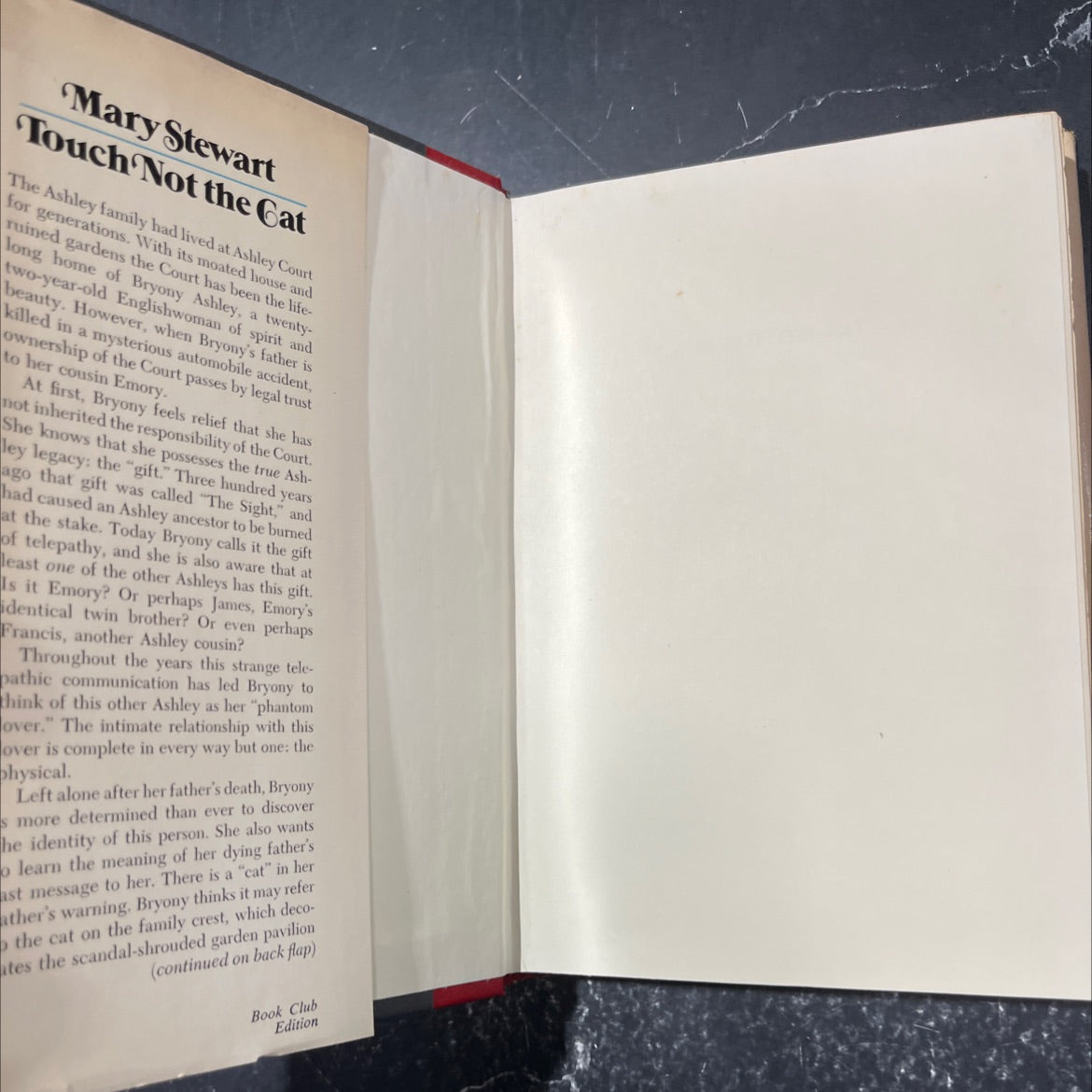 touch not the cat book, by mary stewart, 1976 Hardcover image 4