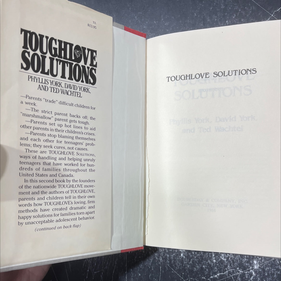 toughlove solutions book, by Phyllis York, David York, Ted Wachtel, 1984 Hardcover image 4