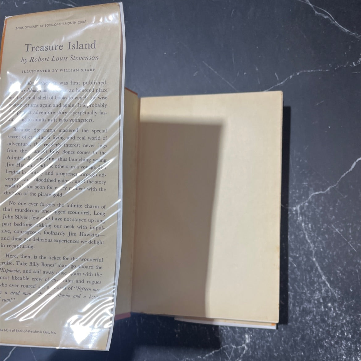 treasure island book, by robert louis stevenson, 1949 Hardcover image 4