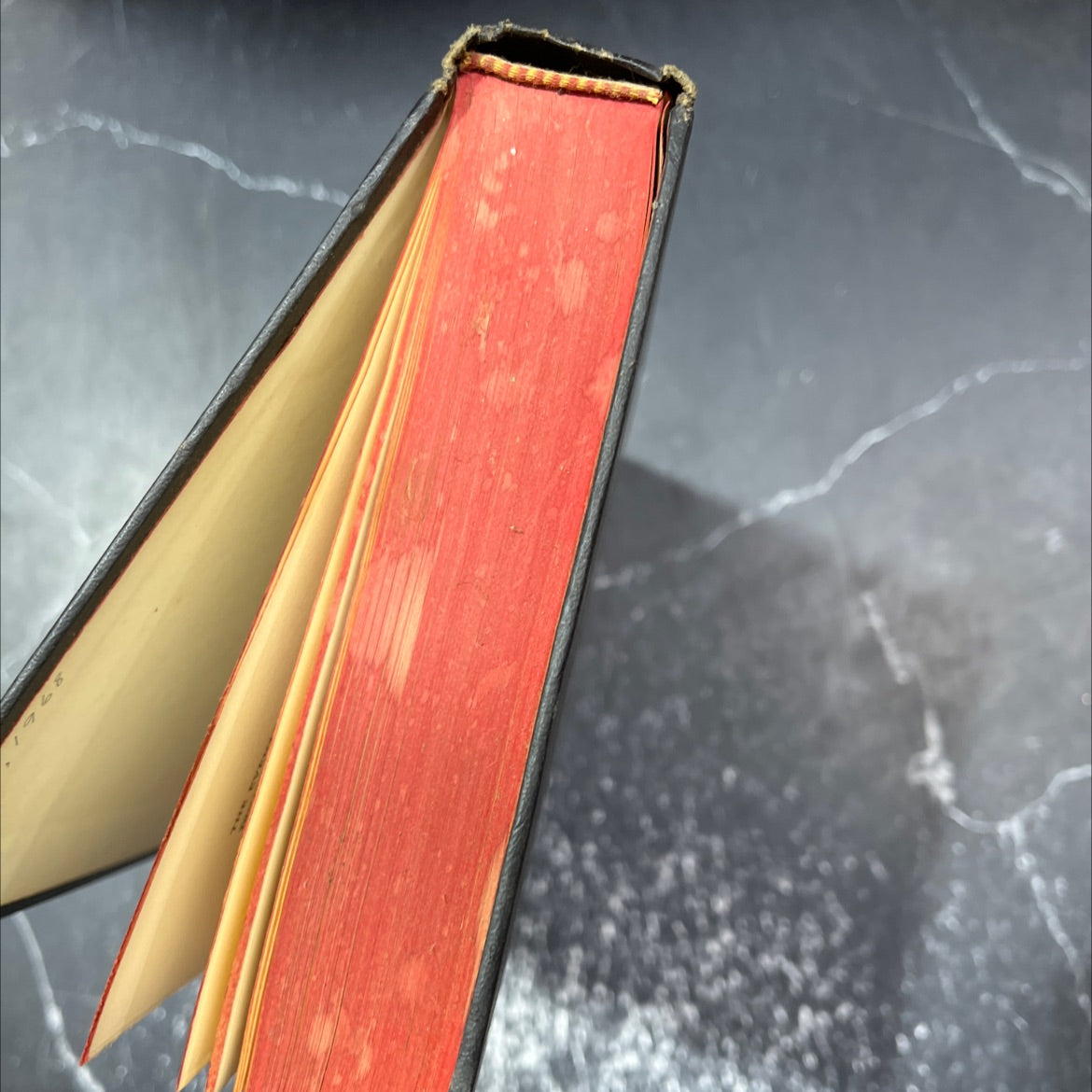 treblinka book, by jean-françois steiner, 1967 Hardcover image 4