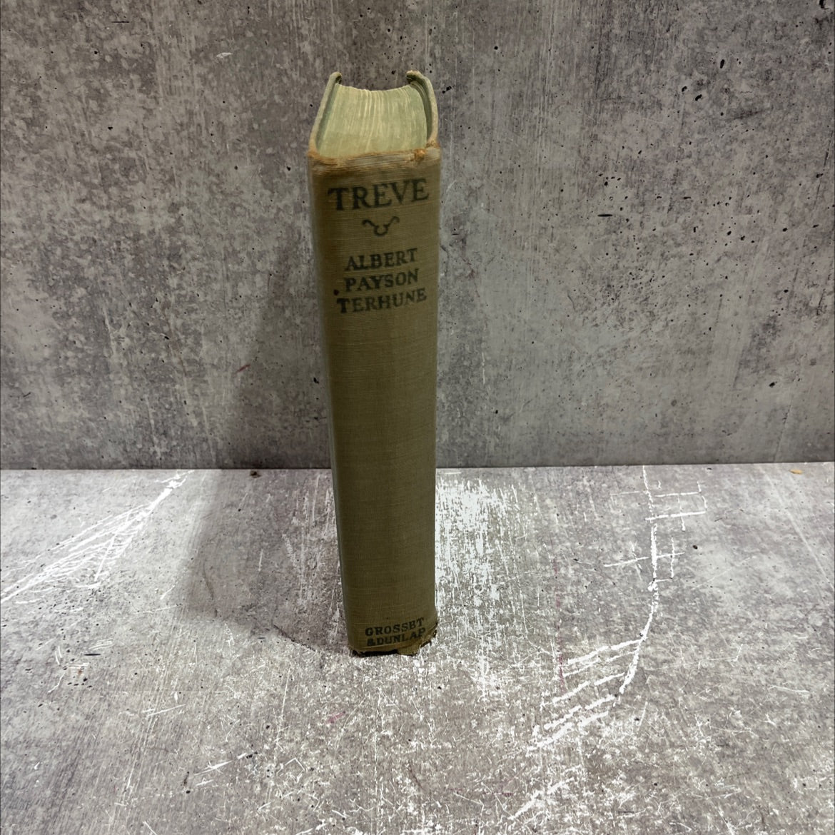 treve book, by albert payson terhune, 1924 Hardcover image 4