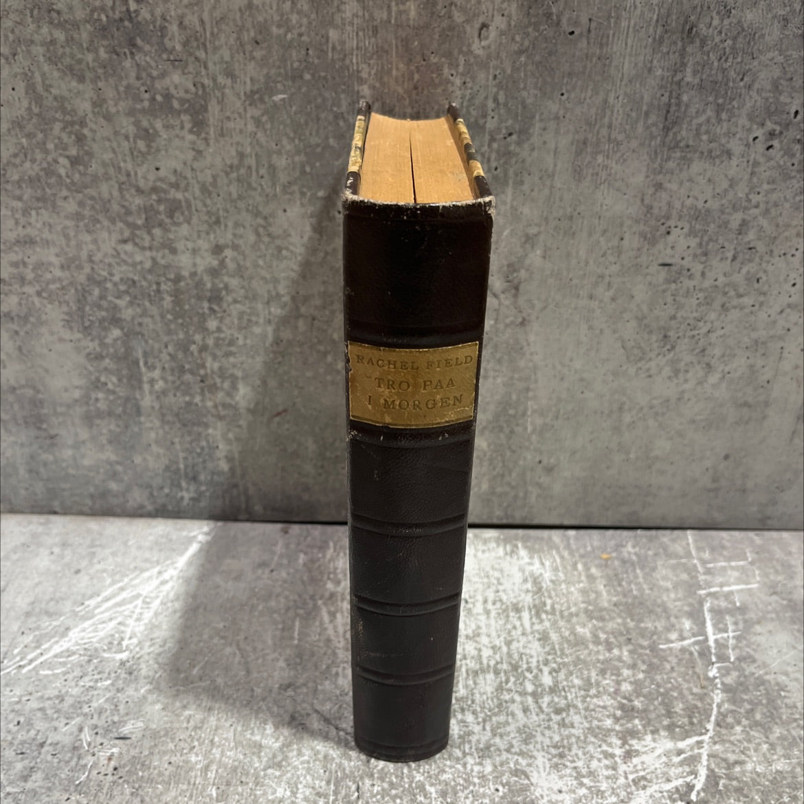 tro paa i morgen book, by rachel field, 1945 Leather image 4