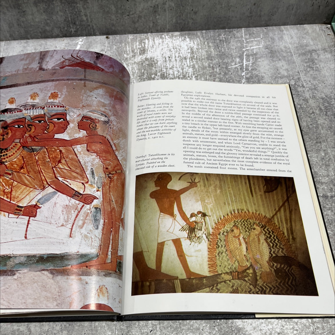 tutankhamun the last journey book, by william macquitty, 1978 Hardcover image 4