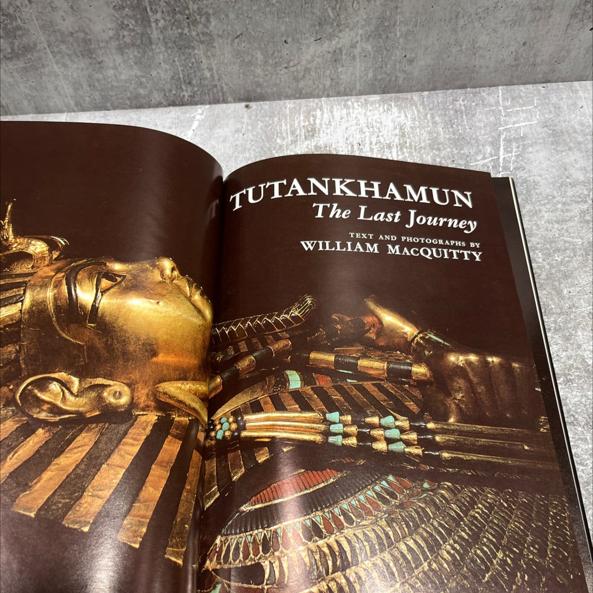 tutankhamun the last journey book, by william macquitty, 1978 Hardcover image 2