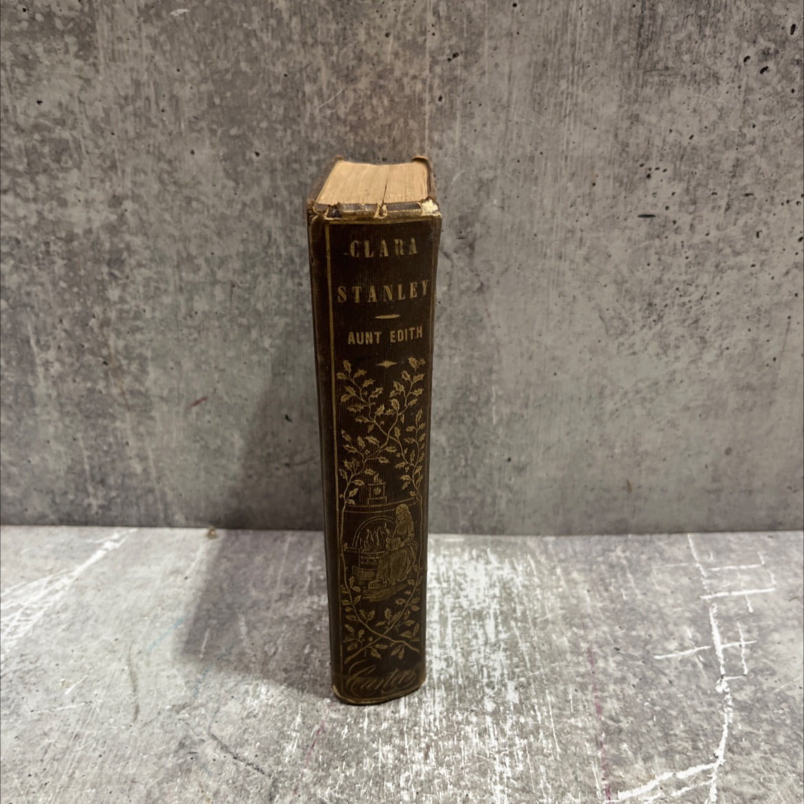 tx clara stanley; or, a summer among the bills book, by unknown, 1858 Hardcover image 4