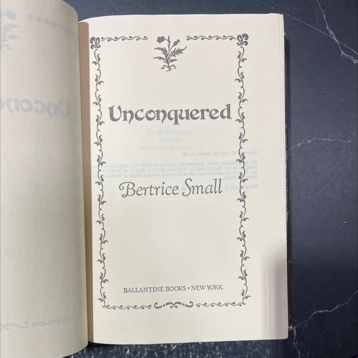 unconquered book, by bertrice small, 1982 Hardcover image 2