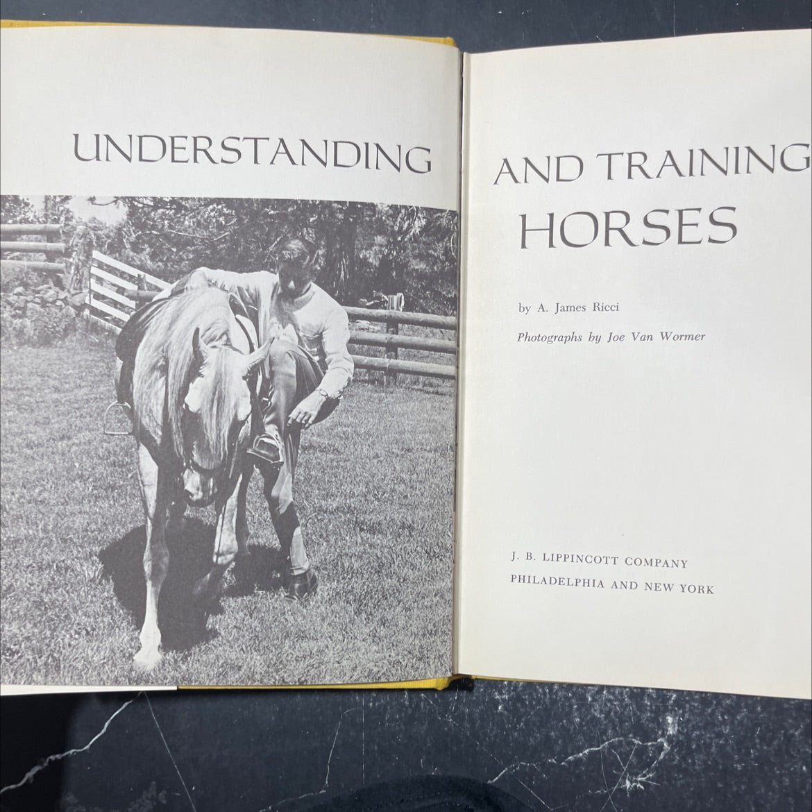 understanding and training horses book, by A. James Ricci, 1964 Hardcover image 2