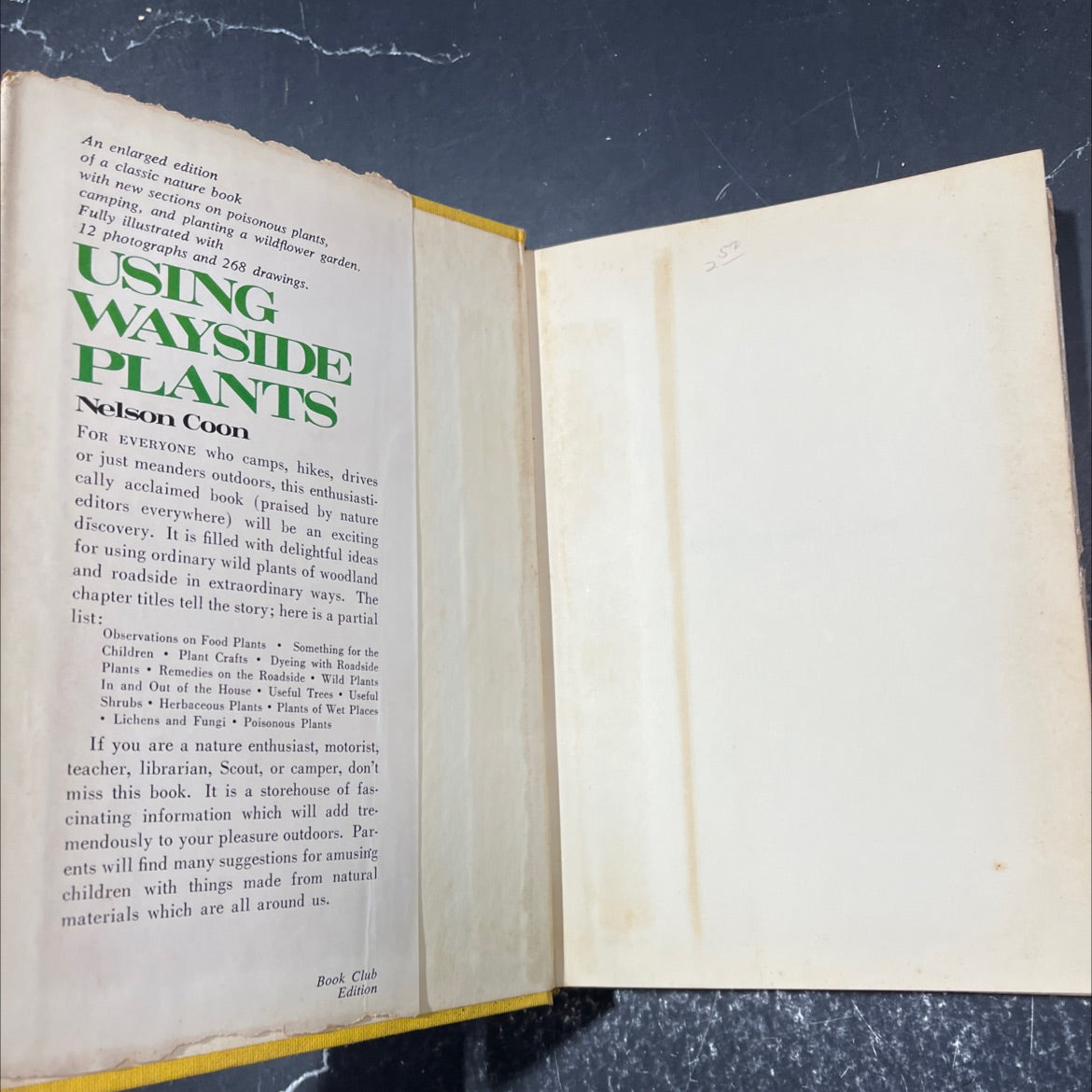 using wayside plants book, by nelson coon, 1969 Hardcover image 4