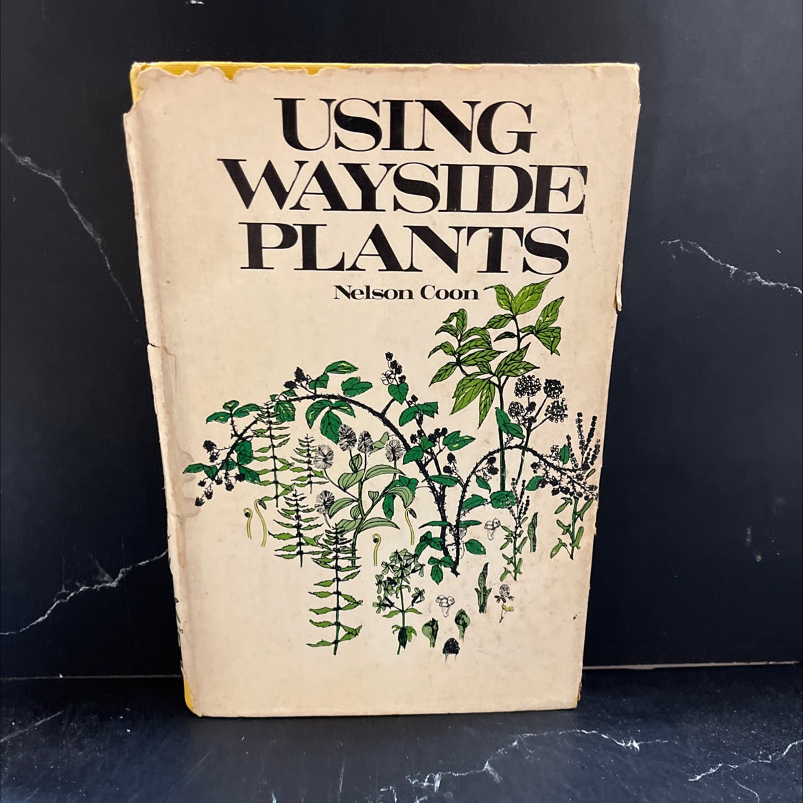 using wayside plants book, by nelson coon, 1969 Hardcover image 1