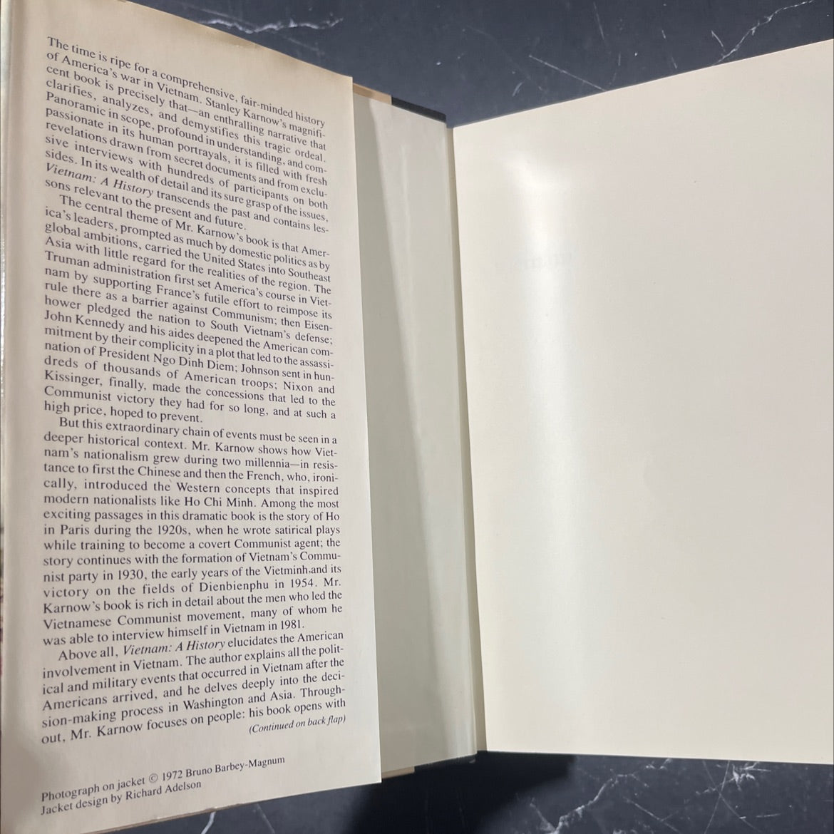vietnam: a history book, by stanley karnow, 1983 Hardcover image 4