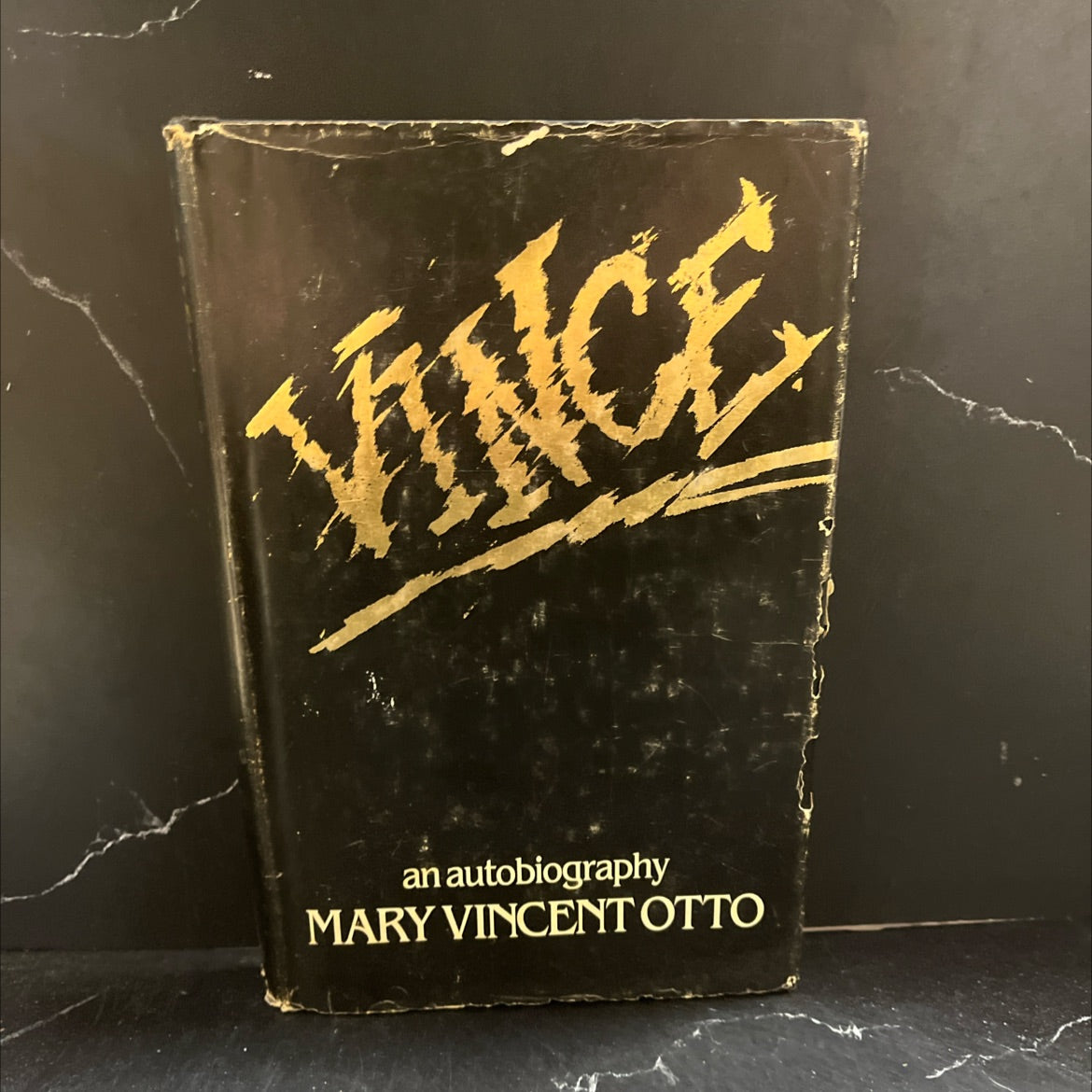vince book, by mary vincent otto, 1984 Hardcover image 1
