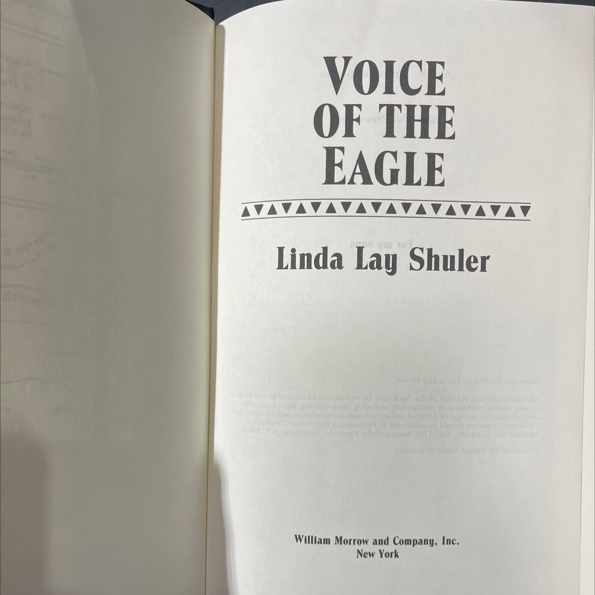 voice of the eagle book, by linda lay shuler, 1992 Hardcover image 2