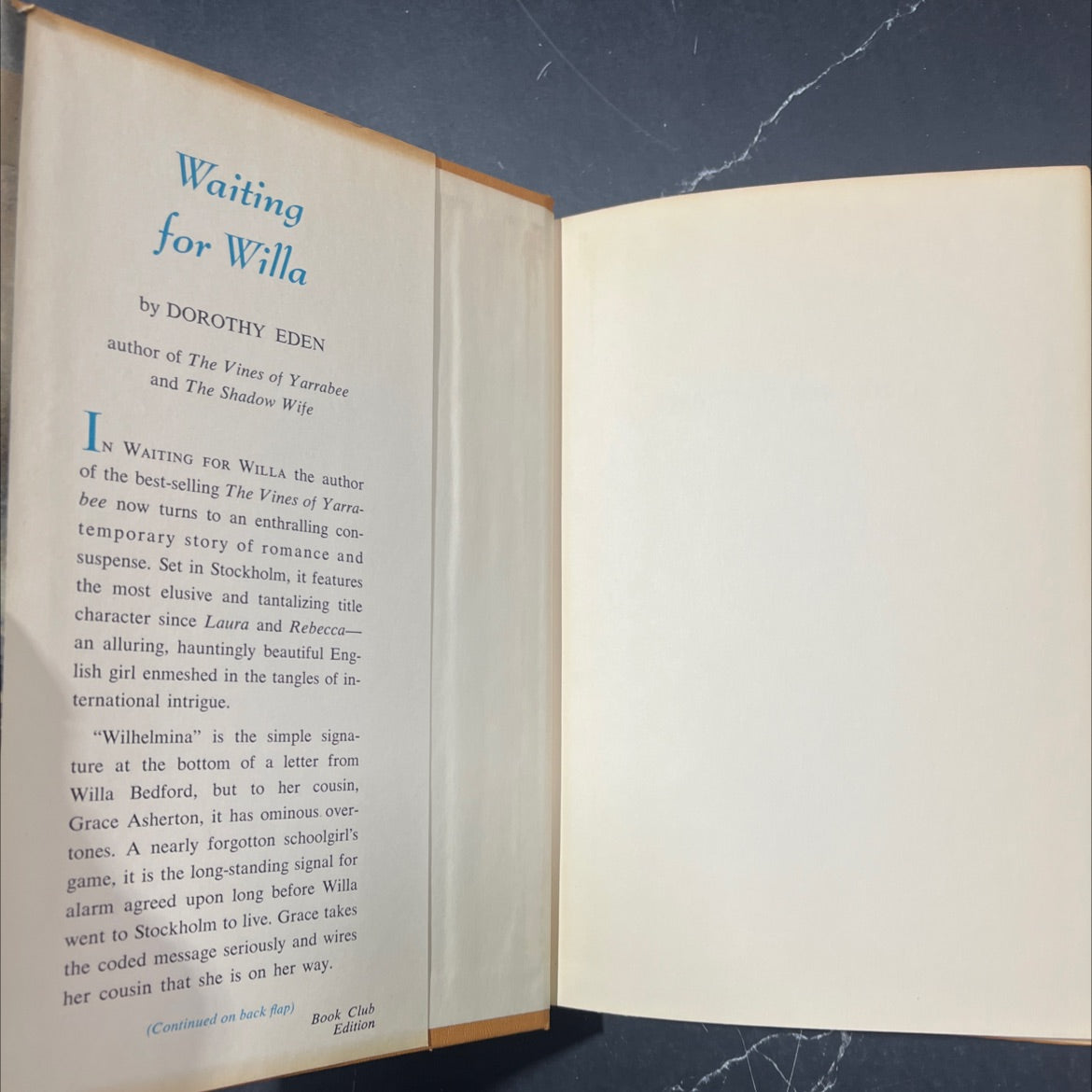 waiting for willa book, by Dorothy Eden, 1970 Hardcover image 4