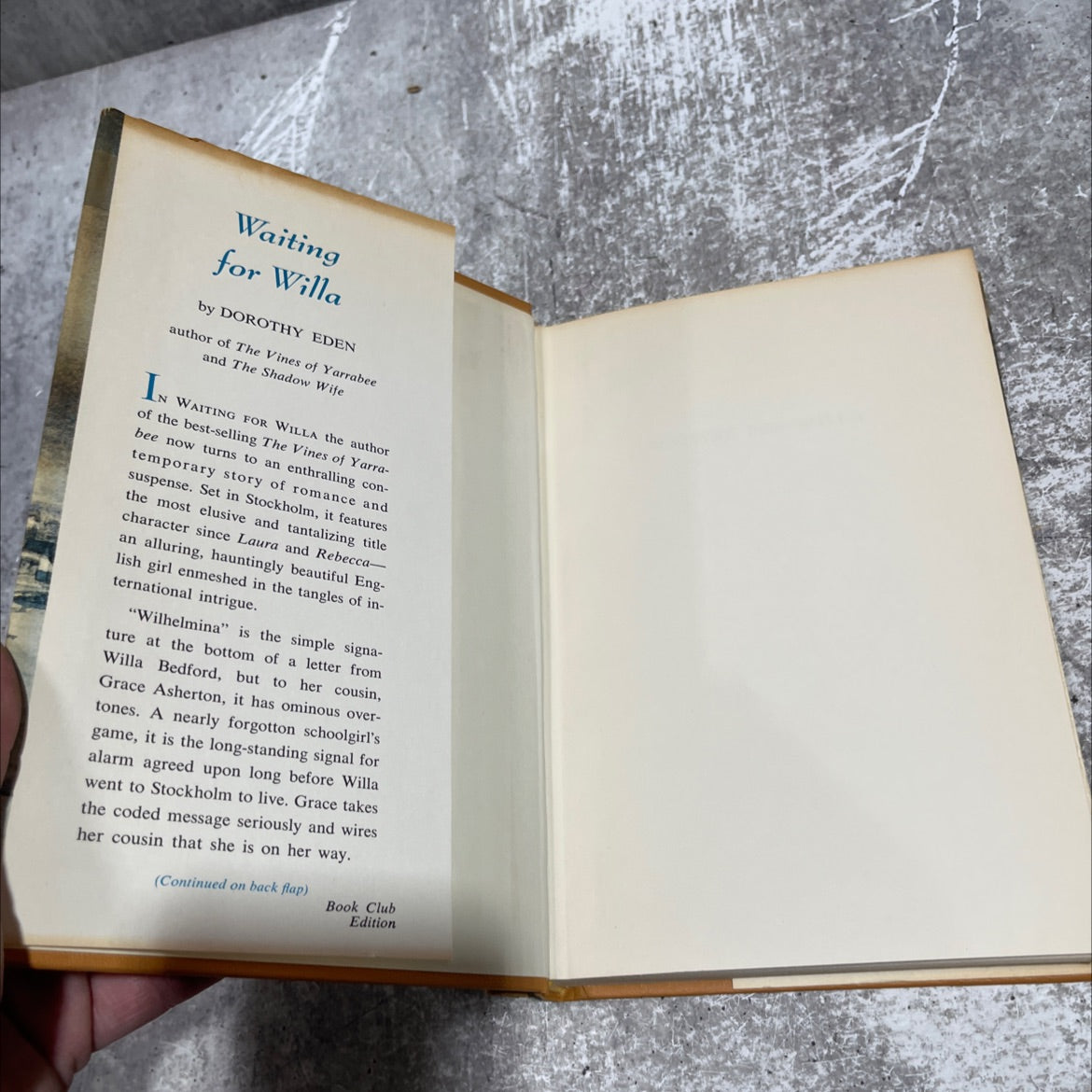 waiting for willa book, by dorothy eden, 1970 Hardcover image 4
