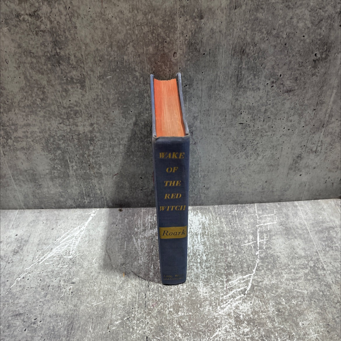 wake of the red witch book, by garland roark, 1946 Hardcover image 4