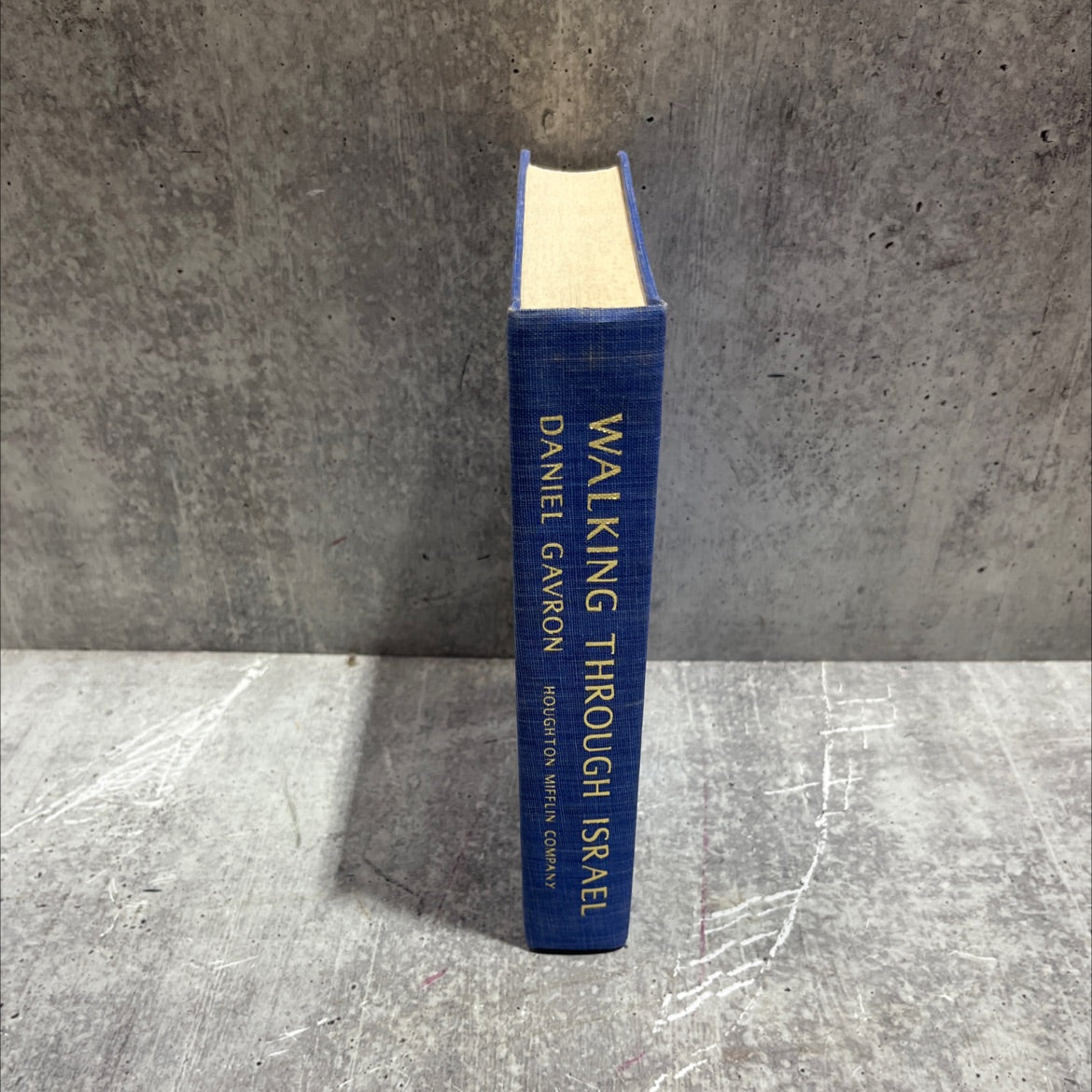 walking through israel book, by Daniel Gavron, 1980 Hardcover image 4