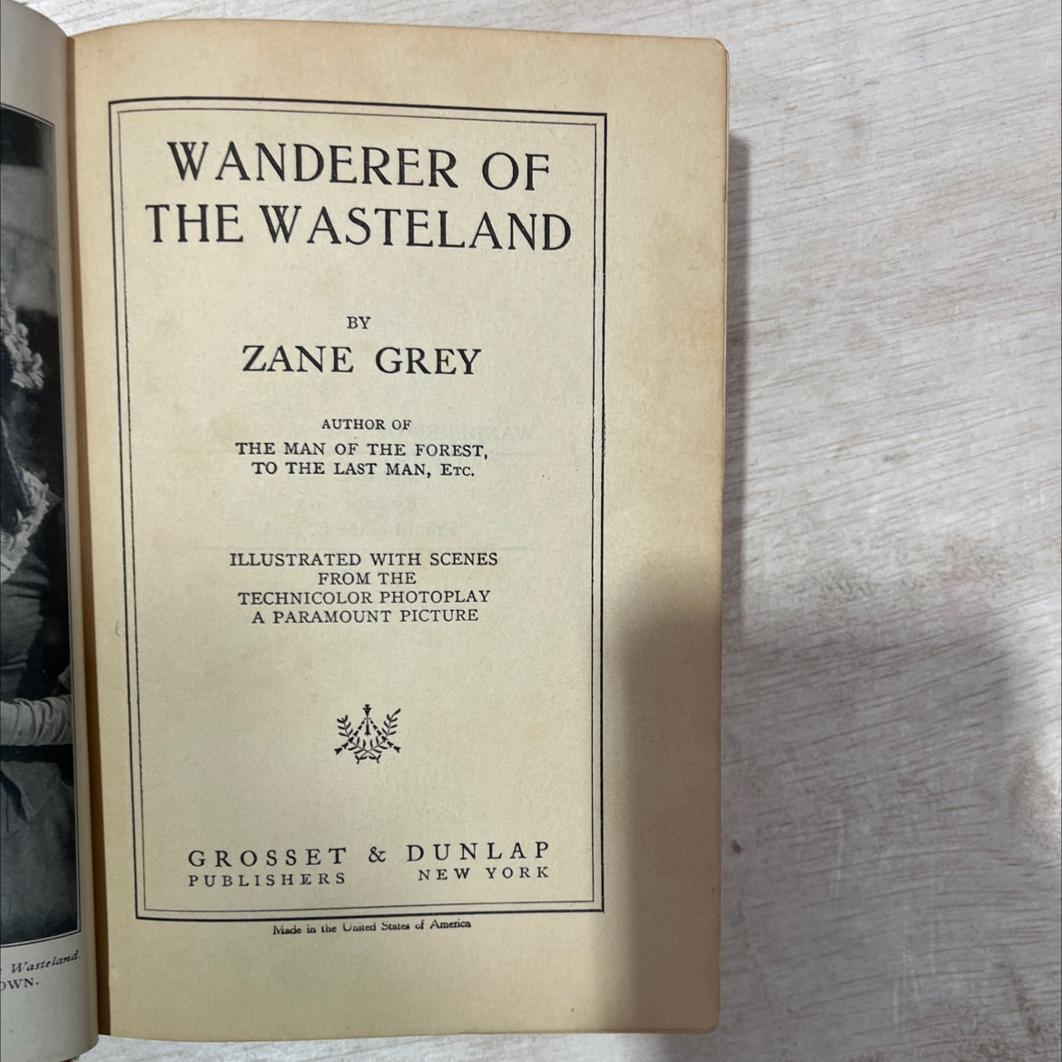 wanderer of the wasteland book, by zane grey, 1923 Hardcover, Antique image 2
