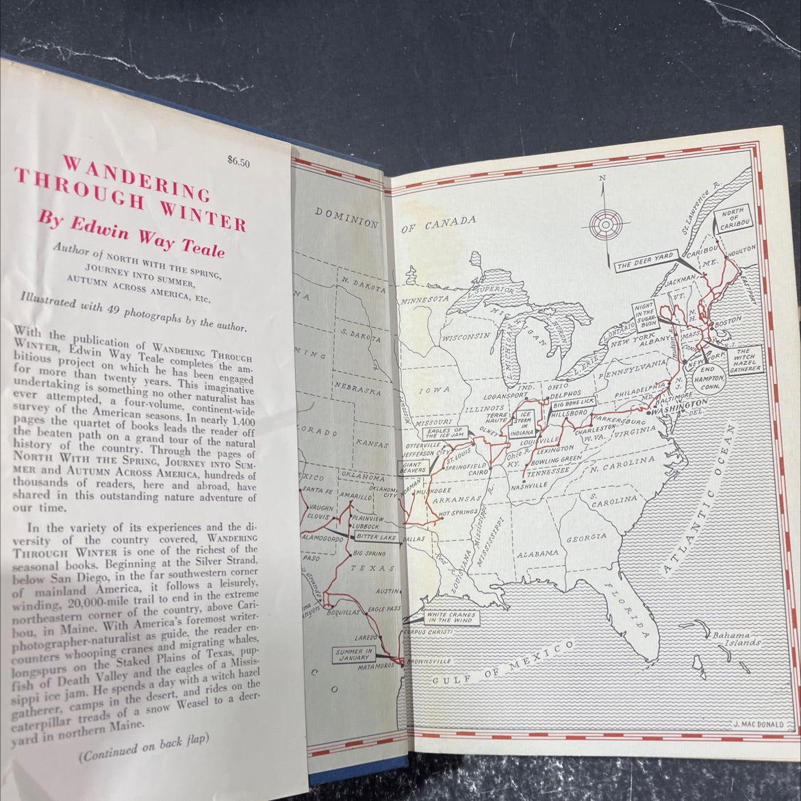 wandering through winter book, by edwin way teale, 1965 Hardcover image 4