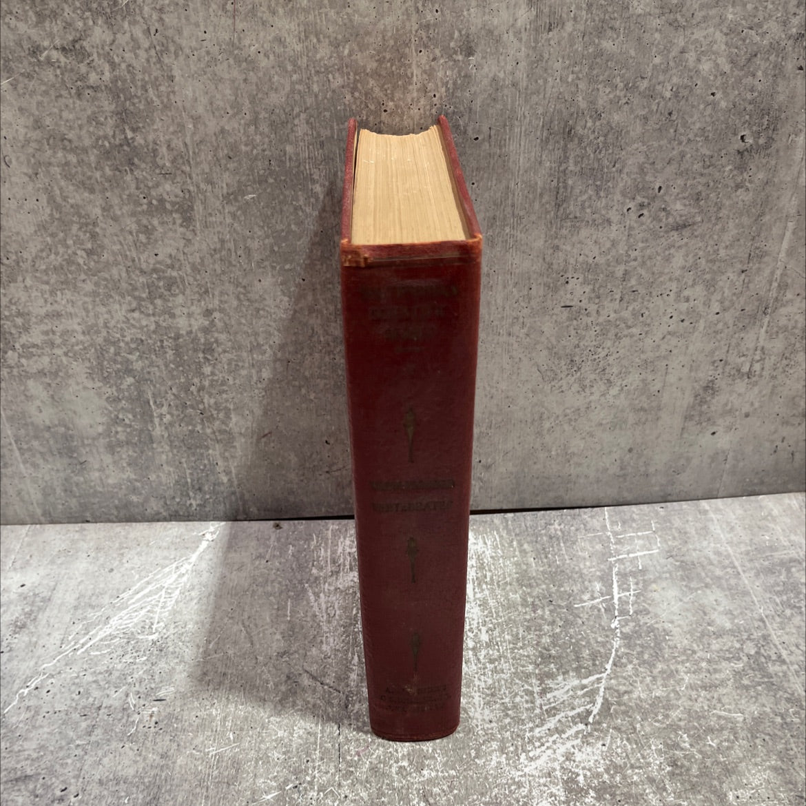warm-blooded vertebrates part i birds book, by alexander wetmore, gerrit s. miller, jr., james w. gidley, 1934 Hardcover image 4