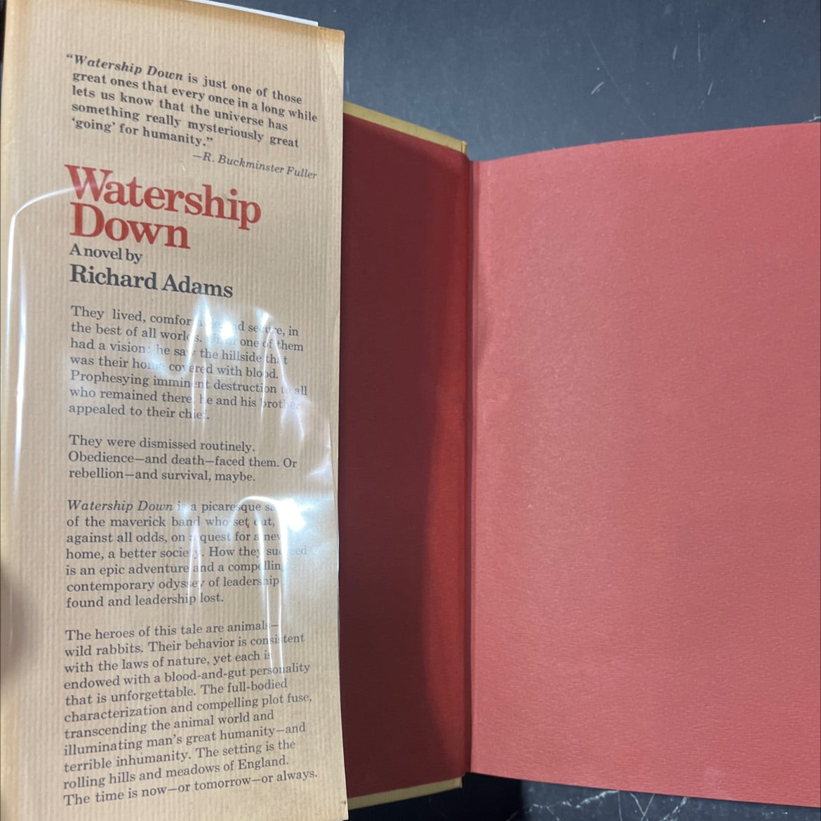 watership down book, by richard adams, 1972 Hardcover image 4