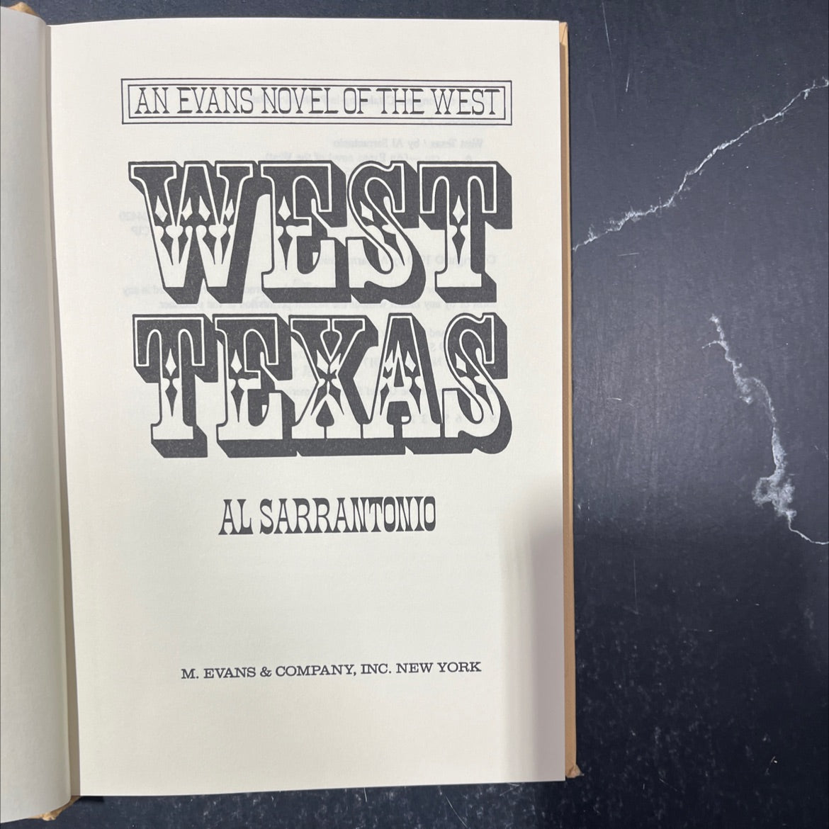 west texas book, by Al Sarrantonio, 1990 Hardcover image 2