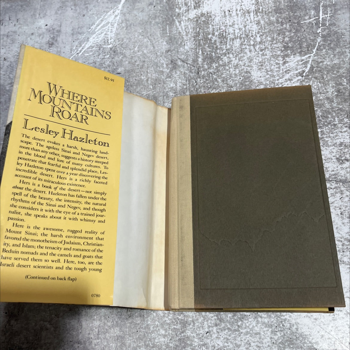 where mountains roar book, by Lesley Hazleton, 1980 Hardcover image 4