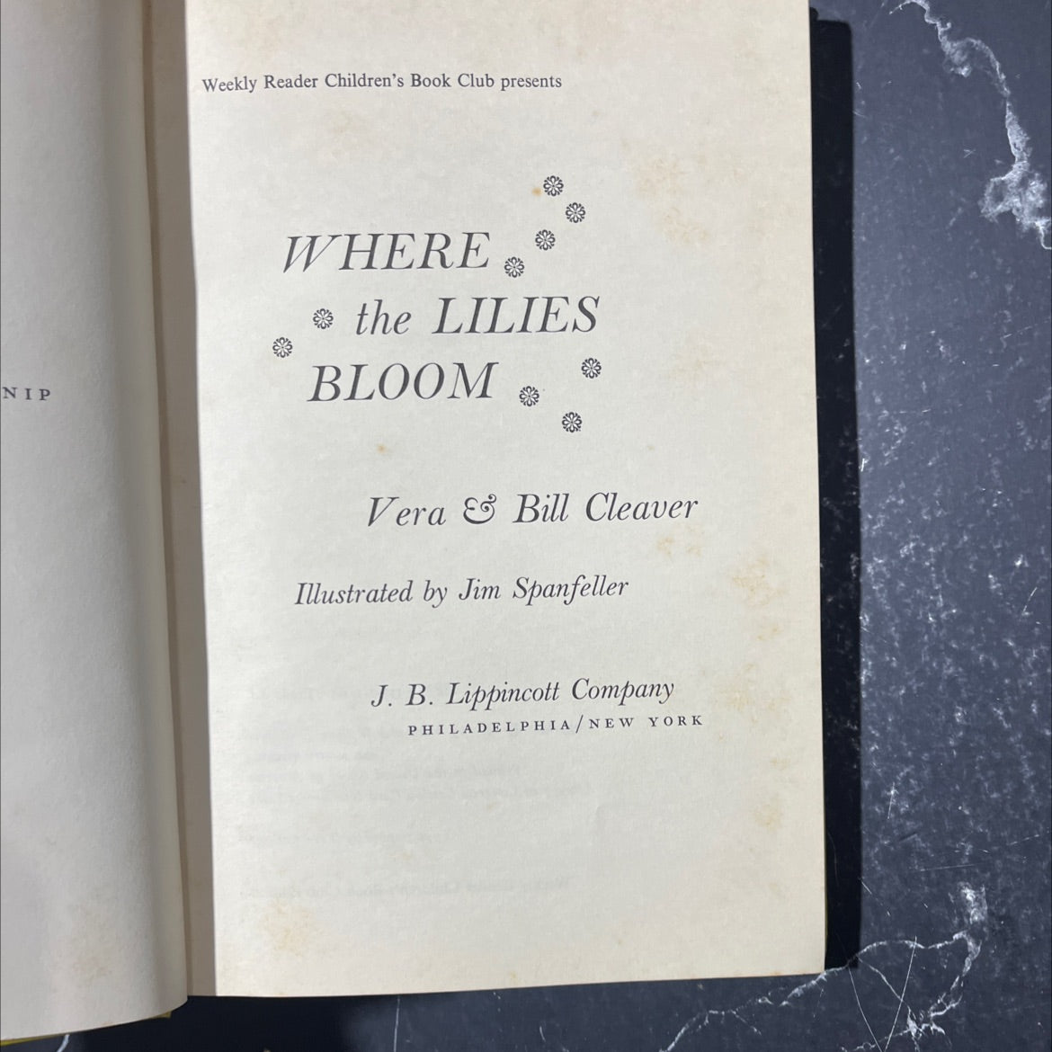 where the lilies bloom book, by Vera & Bill Cleaver, 1969 Hardcover image 2