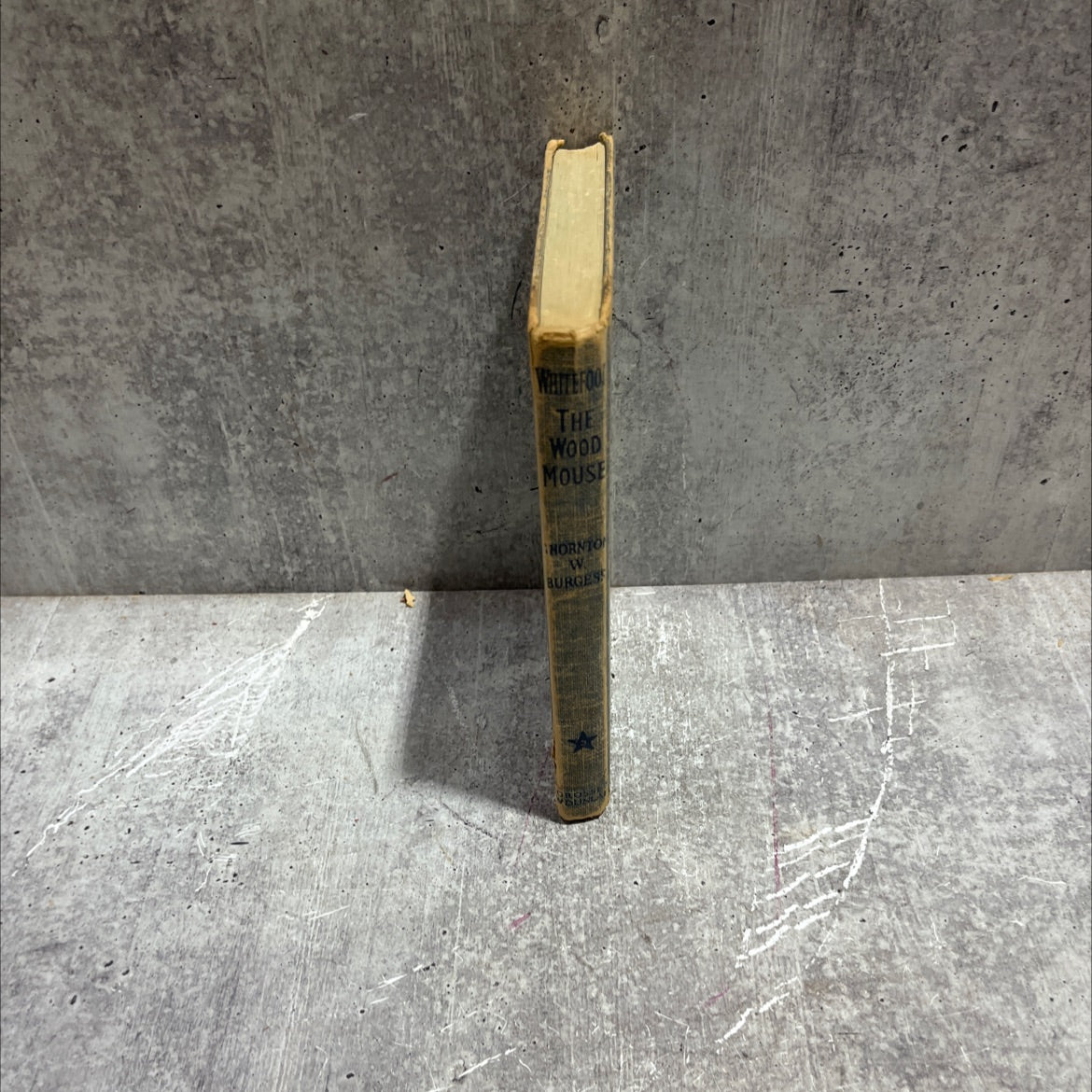 whitefoot the wood mouse book, by thornton w. burgess, 1922 Hardcover image 4