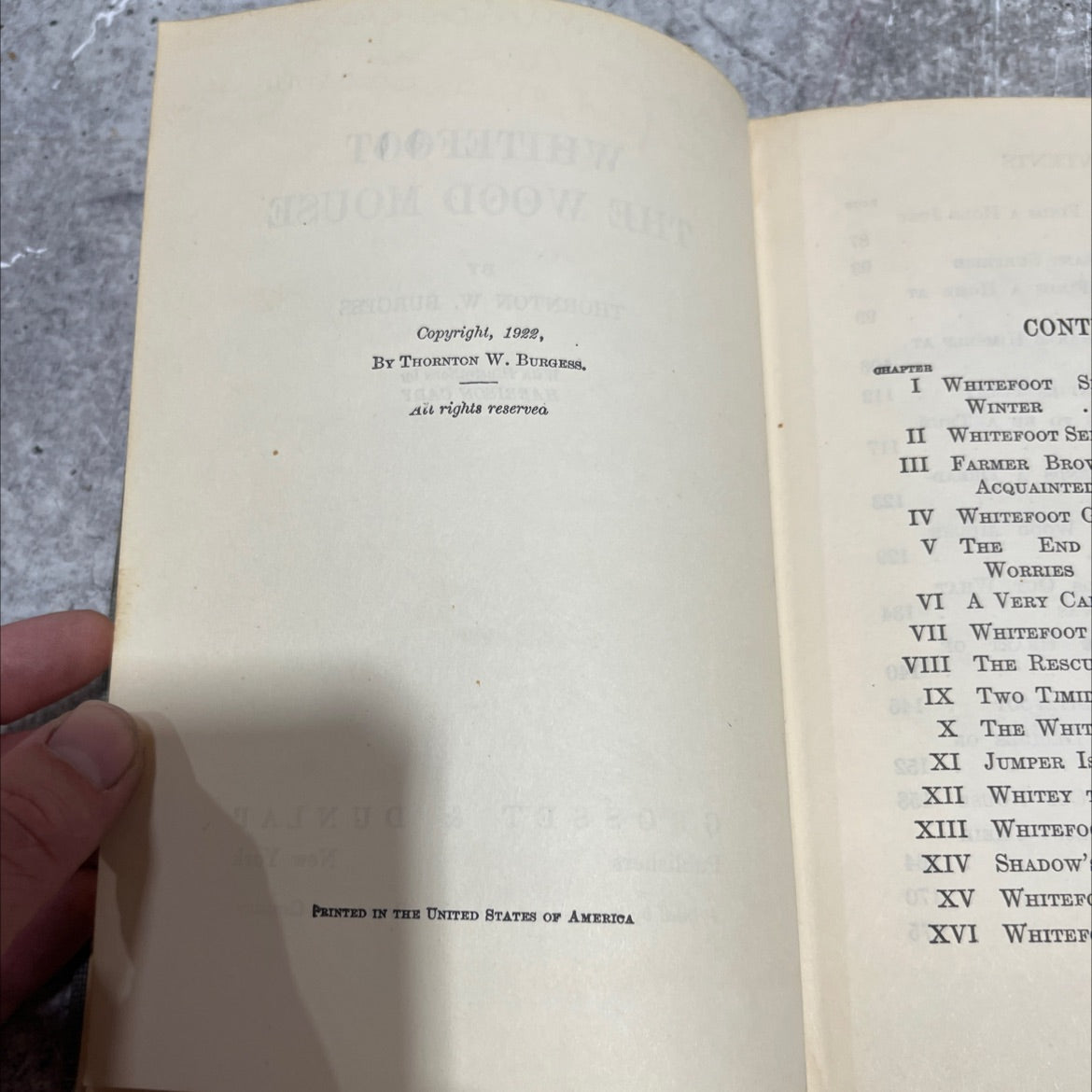 whitefoot the wood mouse book, by thornton w. burgess, 1922 Hardcover image 3