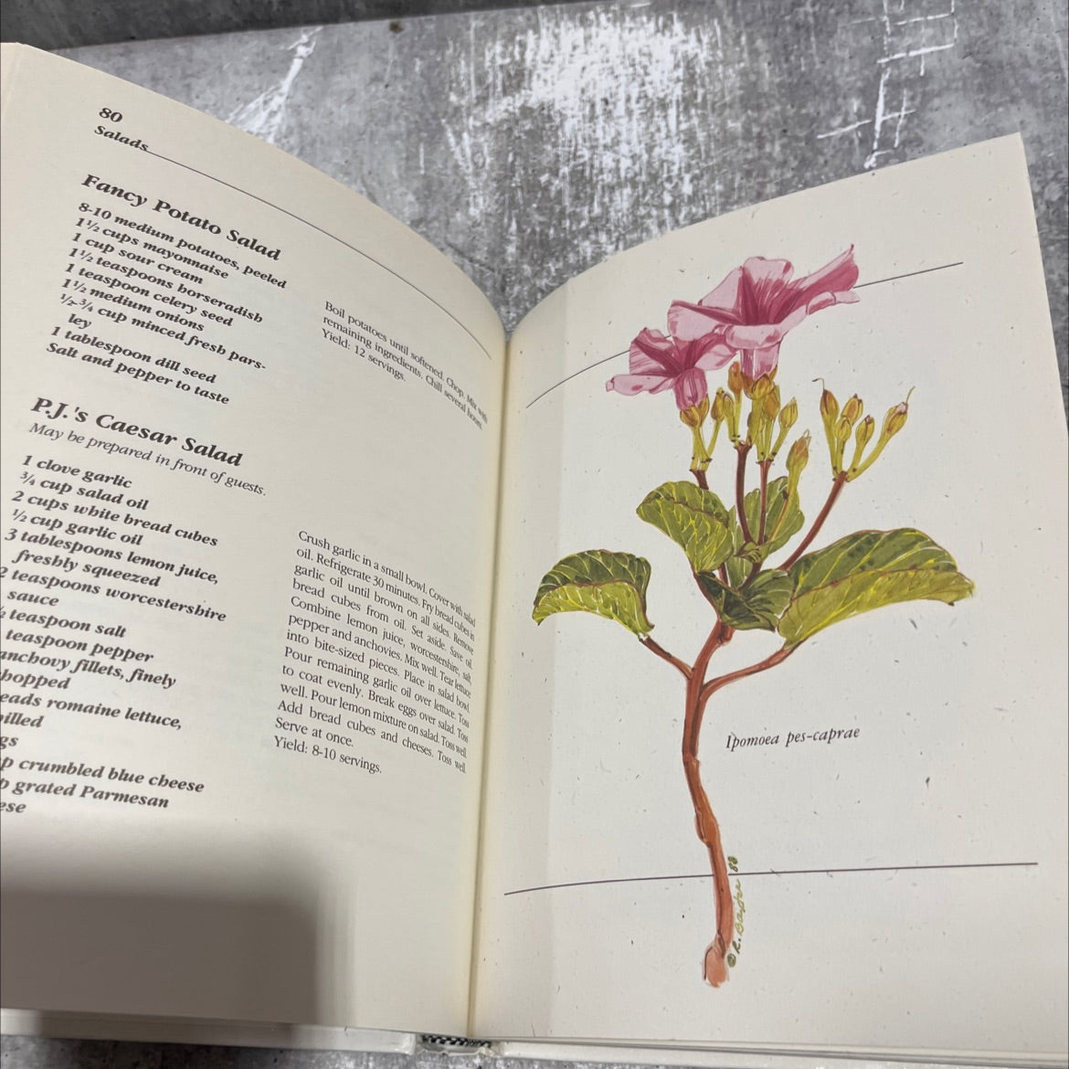 wild about texas a bouquet of recipes, wildflowers and wines book, by cypress woodlands junior forum, 1989 Hardcover image 4