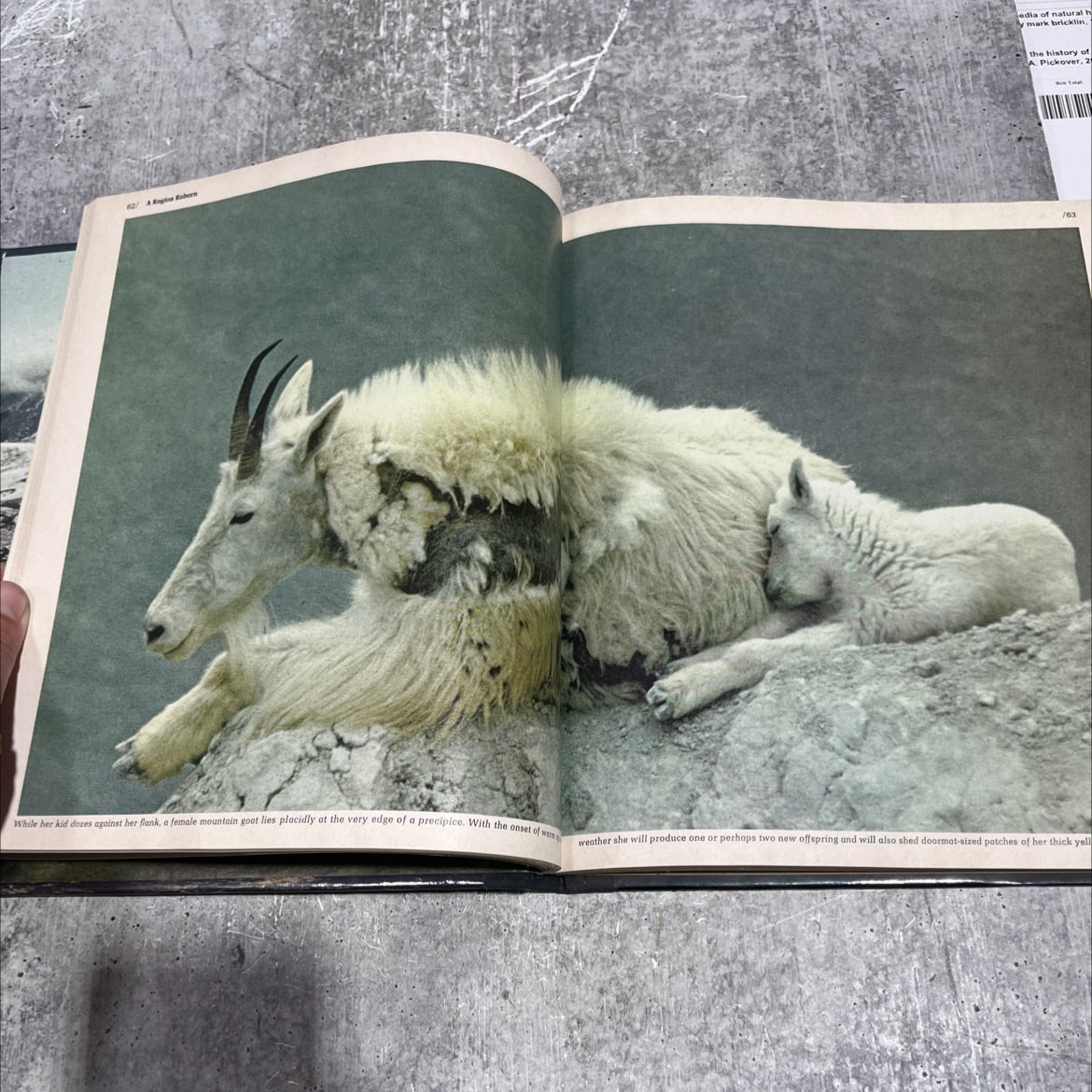 wild alaska the american wilderness book, by dale brown, 1978 Hardcover image 4