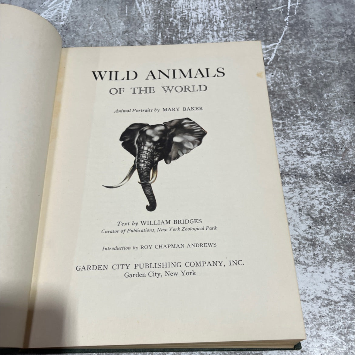 wild animals of the world book, by mary baker, william bridges, 1948 Hardcover image 2