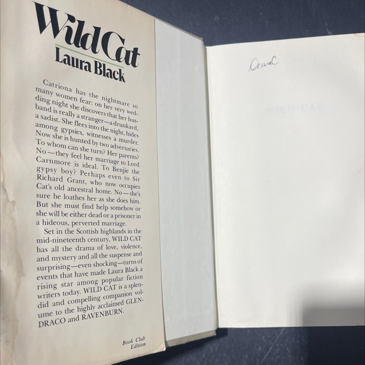 wild cat book, by laura black, 1970 Hardcover image 2
