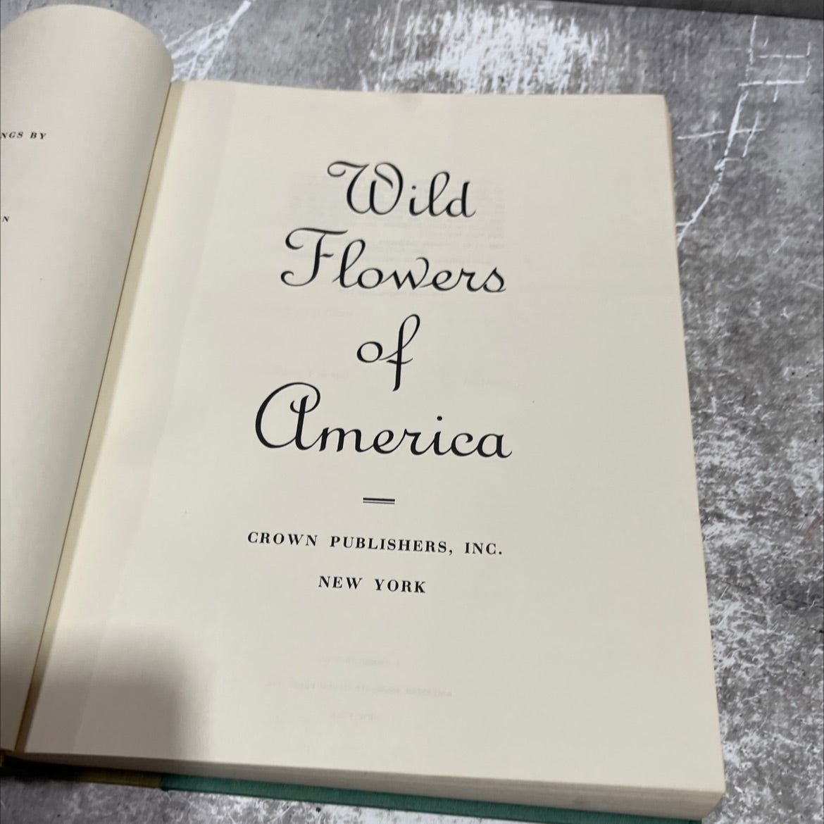 wild flowers of america book, by unknown, 1978 Hardcover image 2