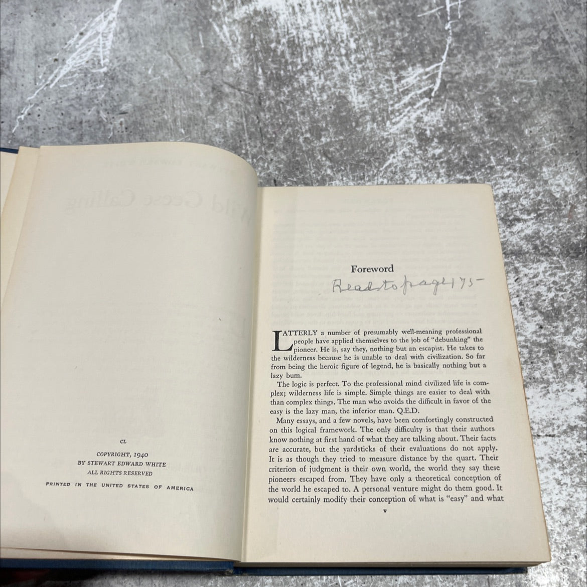 wild geese calling book, by stewart edward white, 1942 Hardcover image 3