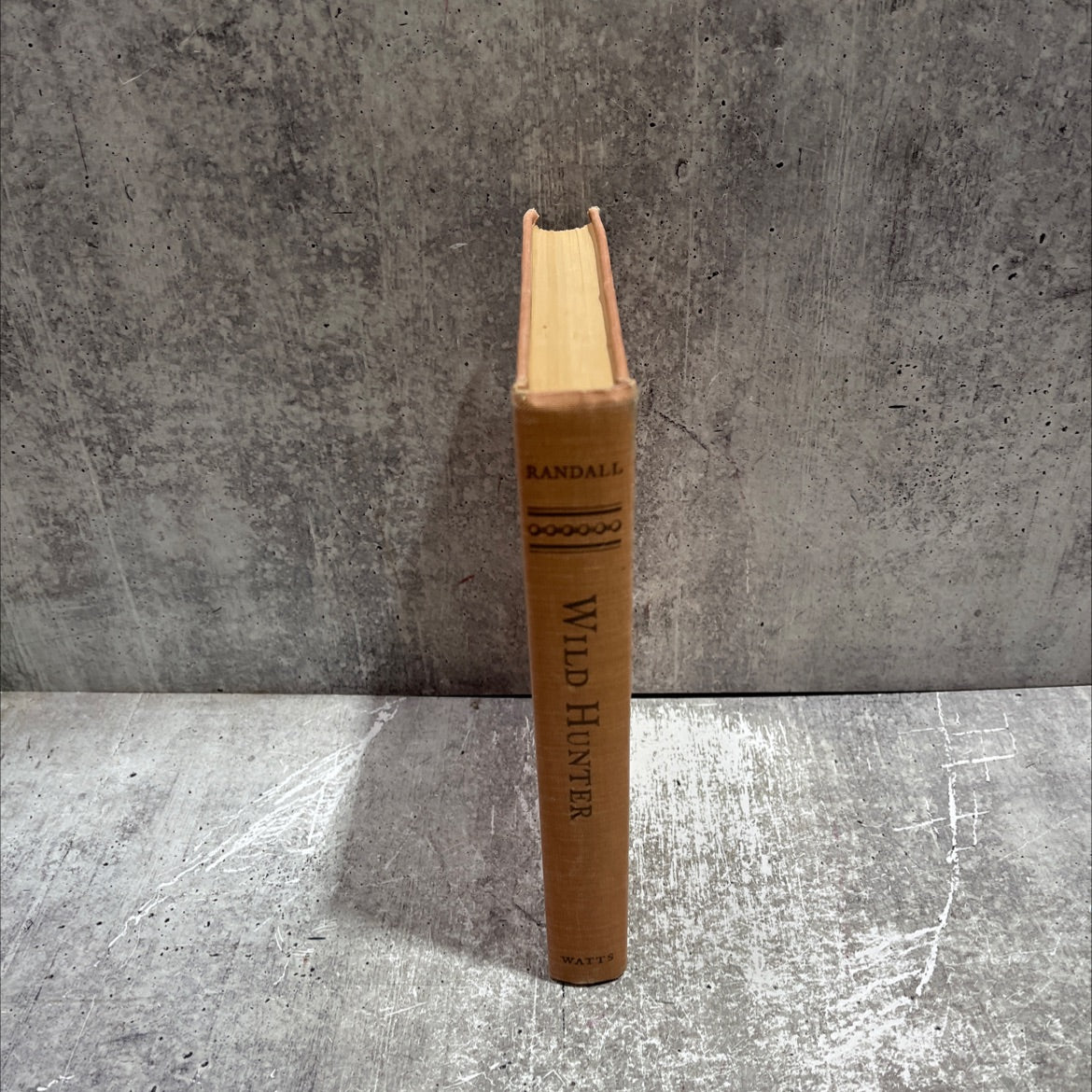 wild hunter book, by k. c. randall, 1951 Hardcover image 4