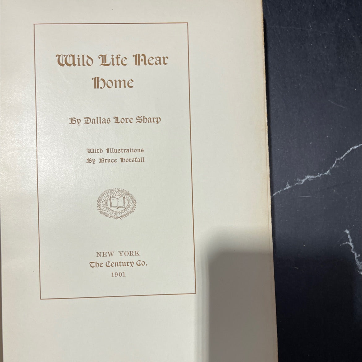 wild life mear home book, by dallas lore sharp, 1901 Hardcover image 2